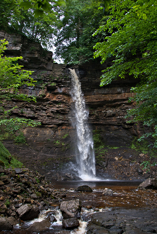 Hardraw Force